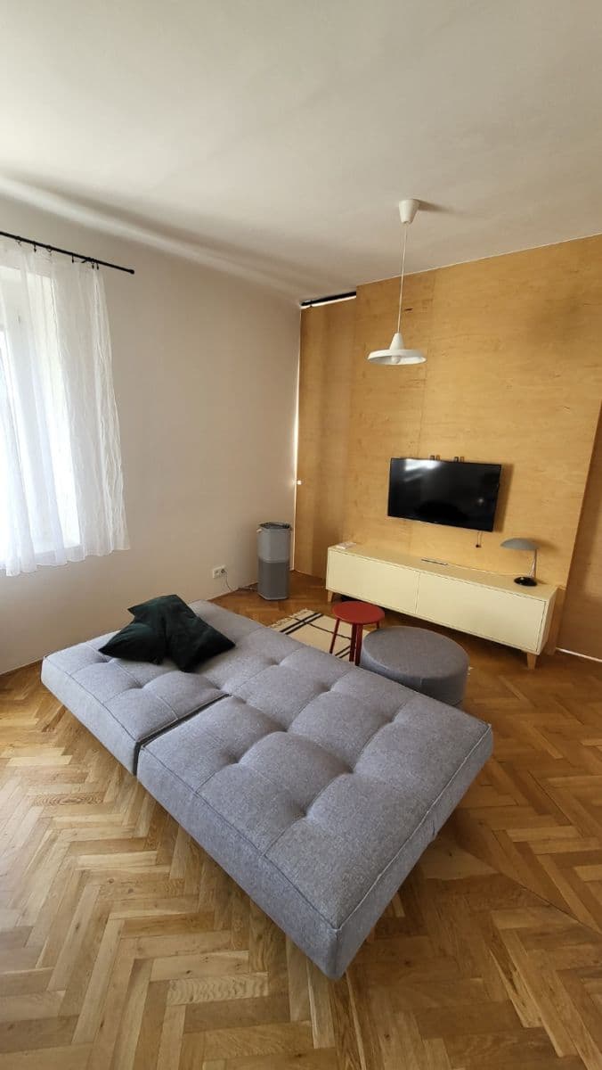 1 bedroom with open-plan kitchen flat to rent, 50 m², Na Nivách, Prague, Prague 1 bedroom with open-plan kitchen flat to rent, 50 m², Na Nivách, Prague, Prague