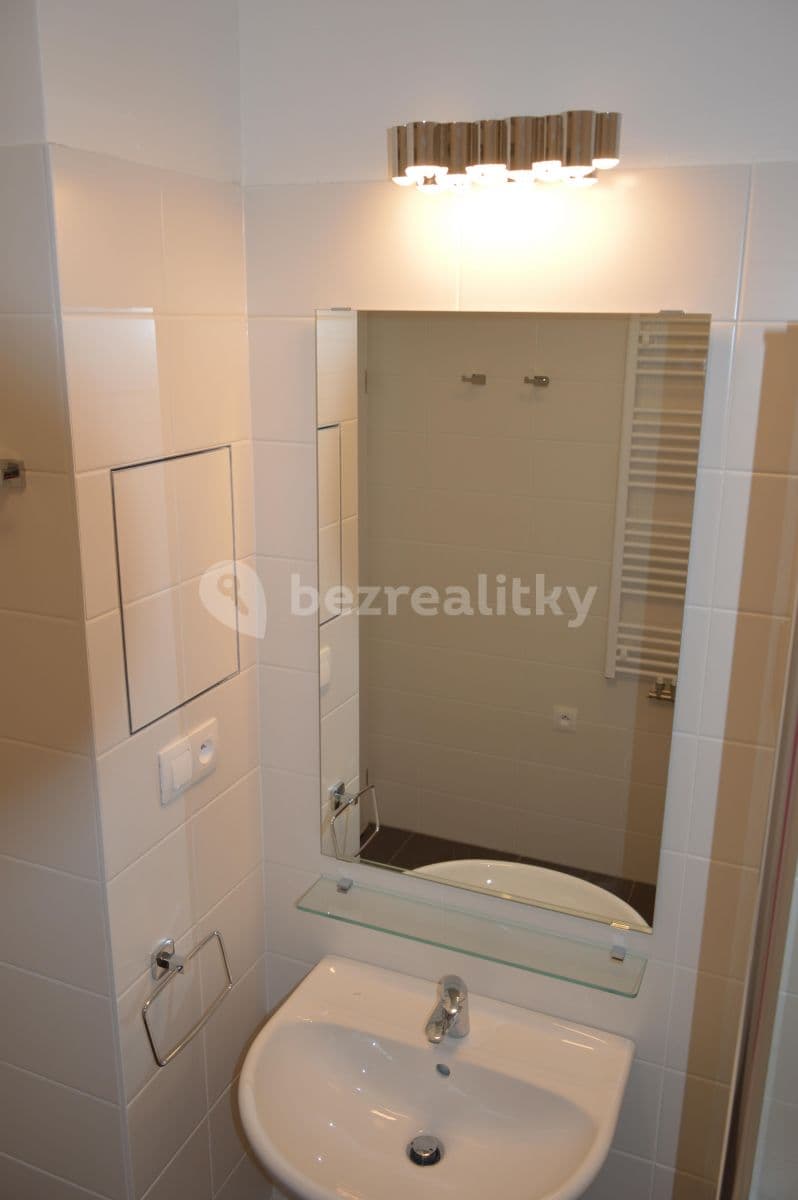 1 bedroom with open-plan kitchen flat to rent, 51 m², U Hostavického potoka, Prague, Prague 1 bedroom with open-plan kitchen flat to rent, 51 m², U Hostavického potoka, Prague, Prague