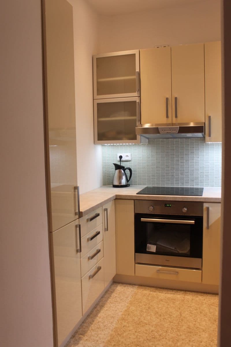 1 bedroom with open-plan kitchen flat to rent, 42 m², Kafkova, Prague, Prague 1 bedroom with open-plan kitchen flat to rent, 42 m², Kafkova, Prague, Prague