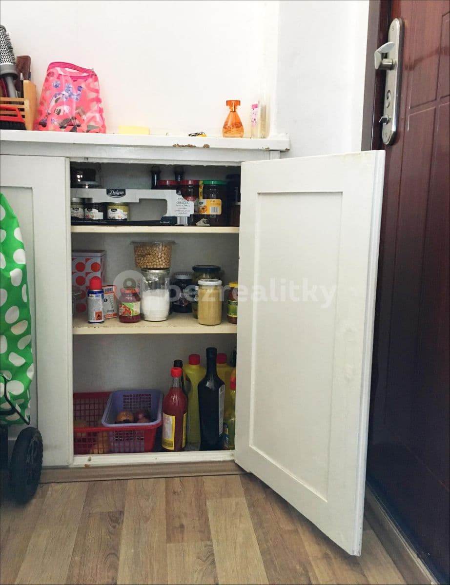 1 bedroom with open-plan kitchen flat to rent, 48 m², Za Zelenou liškou, Prague, Prague 1 bedroom with open-plan kitchen flat to rent, 48 m², Za Zelenou liškou, Prague, Prague