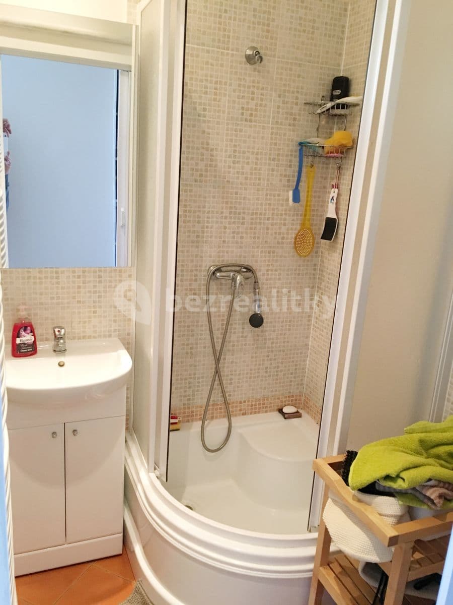 1 bedroom with open-plan kitchen flat to rent, 48 m², Za Zelenou liškou, Prague, Prague 1 bedroom with open-plan kitchen flat to rent, 48 m², Za Zelenou liškou, Prague, Prague