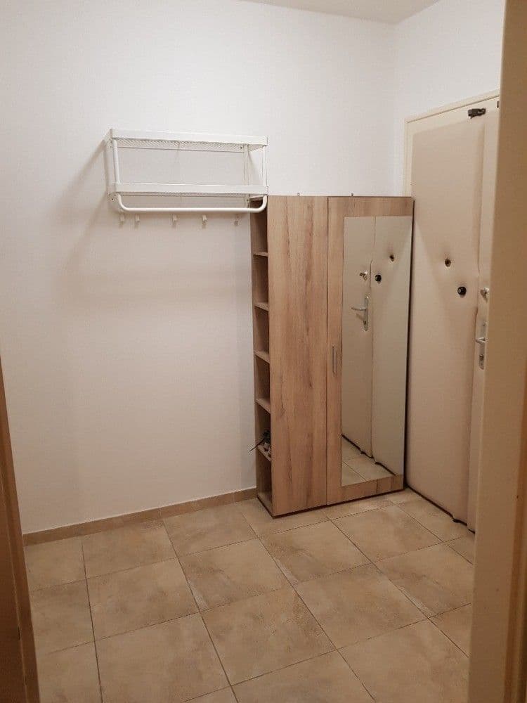 1 bedroom with open-plan kitchen flat to rent, 44 m², Jana Želivského, Prague, Prague 1 bedroom with open-plan kitchen flat to rent, 44 m², Jana Želivského, Prague, Prague