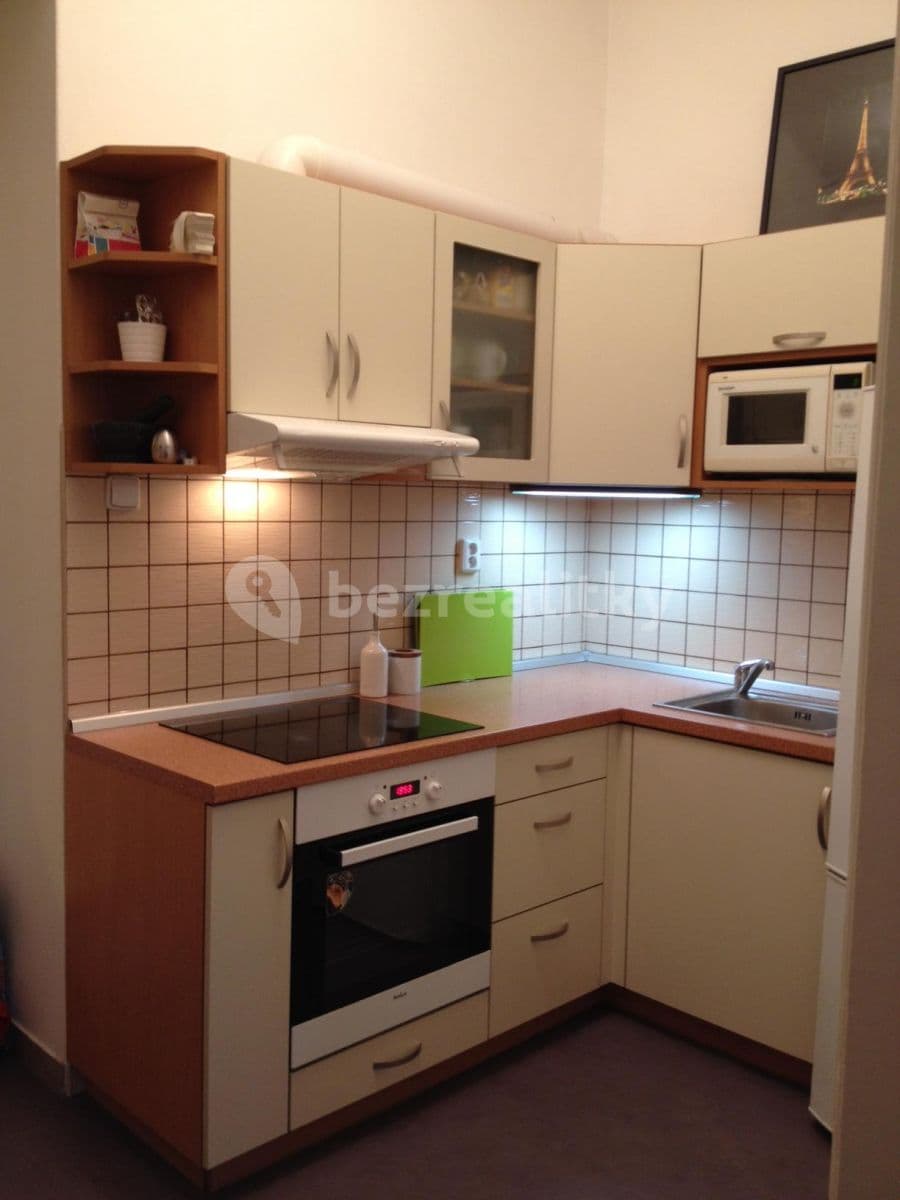 1 bedroom with open-plan kitchen flat to rent, 45 m², Jaselská, Prague, Prague 1 bedroom with open-plan kitchen flat to rent, 45 m², Jaselská, Prague, Prague