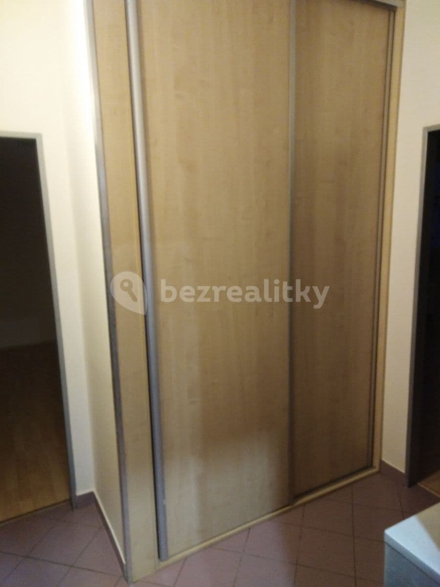 2 bedroom with open-plan kitchen flat to rent, 111 m², Stará, Brno, Jihomoravský Region 2 bedroom with open-plan kitchen flat to rent, 111 m², Stará, Brno, Jihomoravský Region