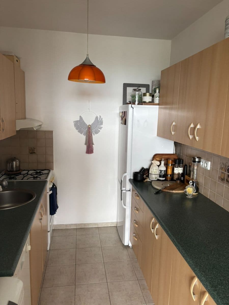 1 bedroom with open-plan kitchen flat to rent, 39 m², Tenisová, Prague, Prague 1 bedroom with open-plan kitchen flat to rent, 39 m², Tenisová, Prague, Prague