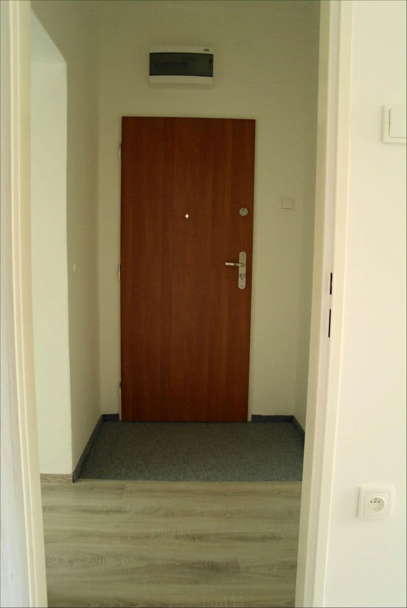 1 bedroom with open-plan kitchen flat to rent, 53 m², Pod stanicí, Prague, Prague 1 bedroom with open-plan kitchen flat to rent, 53 m², Pod stanicí, Prague, Prague