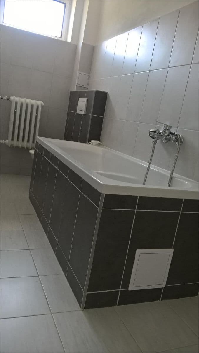 1 bedroom with open-plan kitchen flat to rent, 53 m², Pod stanicí, Prague, Prague 1 bedroom with open-plan kitchen flat to rent, 53 m², Pod stanicí, Prague, Prague