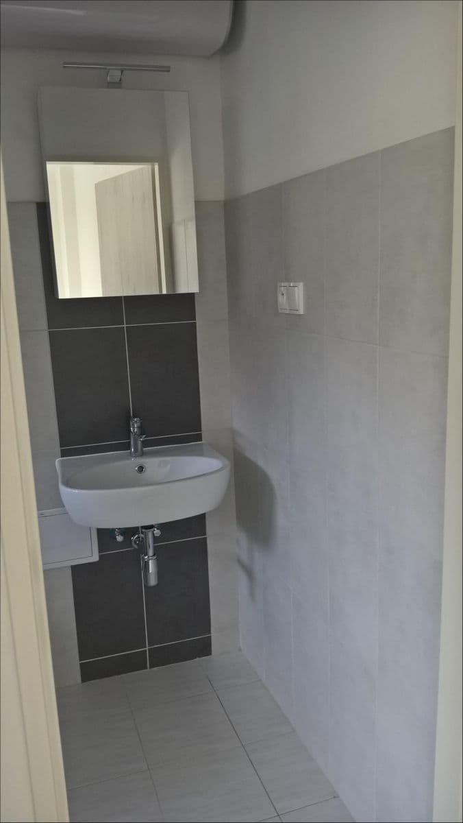 1 bedroom with open-plan kitchen flat to rent, 53 m², Pod stanicí, Prague, Prague 1 bedroom with open-plan kitchen flat to rent, 53 m², Pod stanicí, Prague, Prague