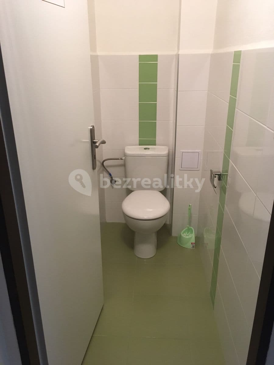 1 bedroom with open-plan kitchen flat to rent, 41 m², Sezimova, Prague, Prague 1 bedroom with open-plan kitchen flat to rent, 41 m², Sezimova, Prague, Prague