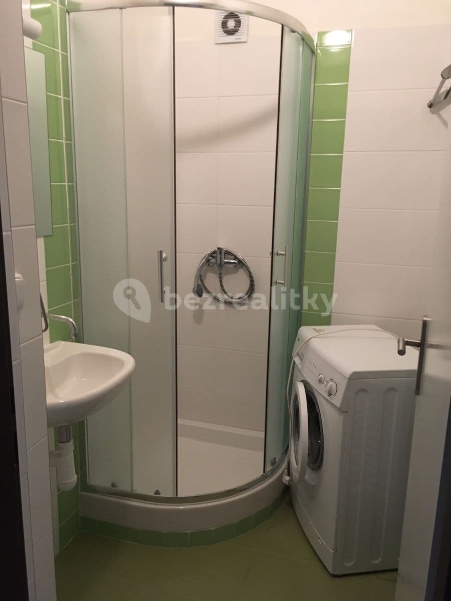 1 bedroom with open-plan kitchen flat to rent, 41 m², Sezimova, Prague, Prague 1 bedroom with open-plan kitchen flat to rent, 41 m², Sezimova, Prague, Prague