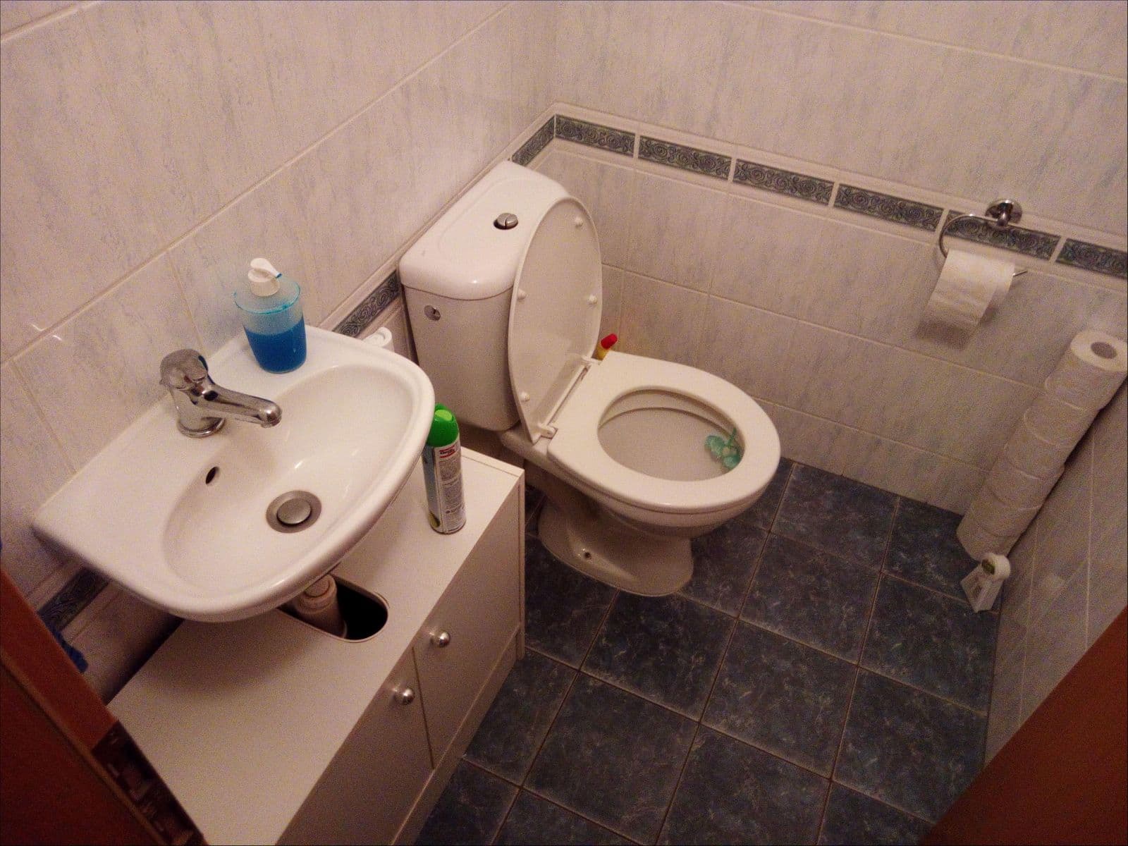 1 bedroom with open-plan kitchen flat to rent, 55 m², Divišovská, Prague, Prague 1 bedroom with open-plan kitchen flat to rent, 55 m², Divišovská, Prague, Prague