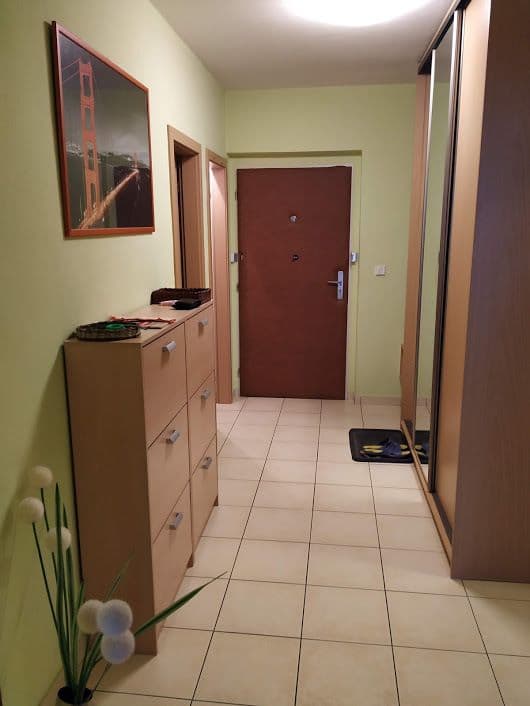 1 bedroom with open-plan kitchen flat to rent, 55 m², Divišovská, Prague, Prague 1 bedroom with open-plan kitchen flat to rent, 55 m², Divišovská, Prague, Prague