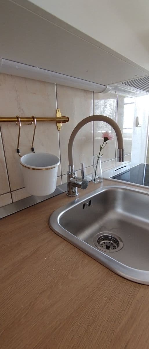 1 bedroom with open-plan kitchen flat to rent, 49 m², Michálkovická, Ostrava, Moravskoslezský Region 1 bedroom with open-plan kitchen flat to rent, 49 m², Michálkovická, Ostrava, Moravskoslezský Region