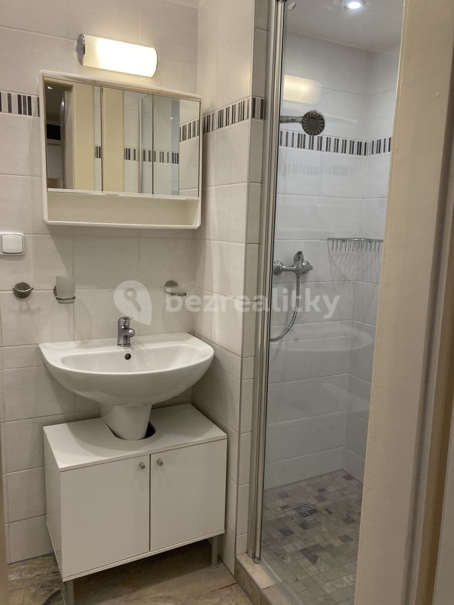 1 bedroom with open-plan kitchen flat to rent, 42 m², Malínská, Prague, Prague 1 bedroom with open-plan kitchen flat to rent, 42 m², Malínská, Prague, Prague