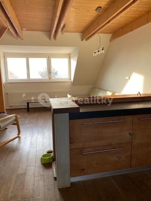 1 bedroom with open-plan kitchen flat to rent, 70 m², Na Vršku, Prague, Prague 1 bedroom with open-plan kitchen flat to rent, 70 m², Na Vršku, Prague, Prague