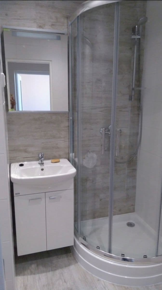 1 bedroom with open-plan kitchen flat to rent, 43 m², Jabloňová, Prague, Prague 1 bedroom with open-plan kitchen flat to rent, 43 m², Jabloňová, Prague, Prague