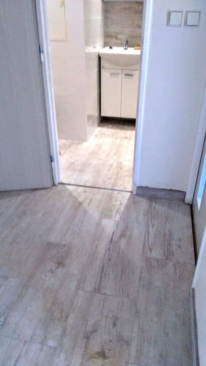1 bedroom with open-plan kitchen flat to rent, 43 m², Jabloňová, Prague, Prague 1 bedroom with open-plan kitchen flat to rent, 43 m², Jabloňová, Prague, Prague