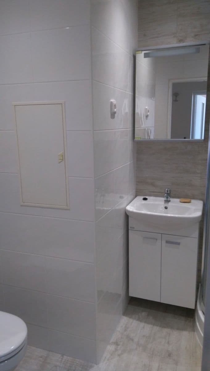 1 bedroom with open-plan kitchen flat to rent, 43 m², Jabloňová, Prague, Prague 1 bedroom with open-plan kitchen flat to rent, 43 m², Jabloňová, Prague, Prague