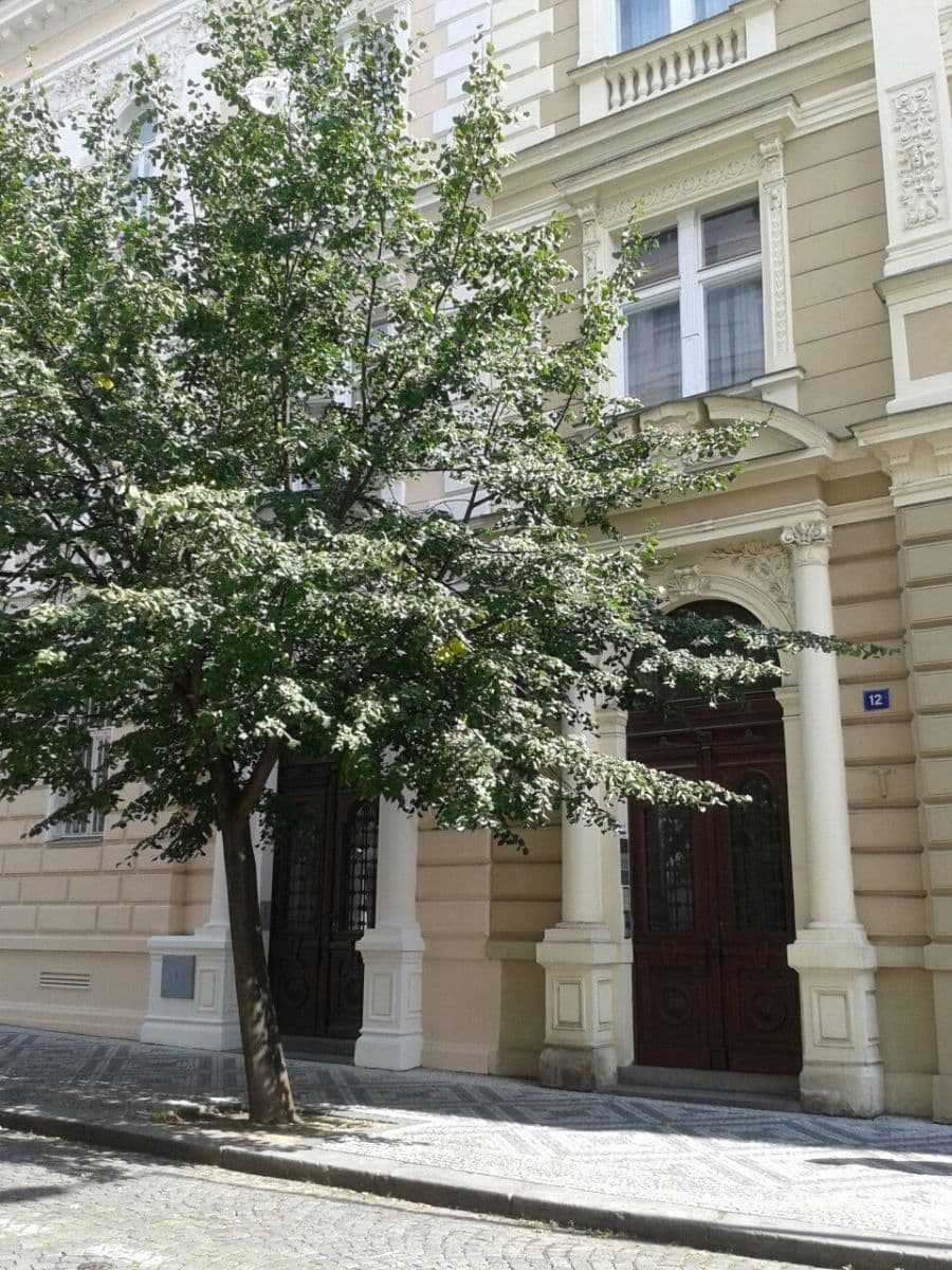 1 bedroom with open-plan kitchen flat to rent, 60 m², Jana Masaryka, Prague, Prague 1 bedroom with open-plan kitchen flat to rent, 60 m², Jana Masaryka, Prague, Prague