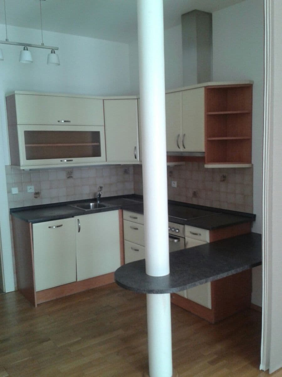 1 bedroom with open-plan kitchen flat to rent, 60 m², Jana Masaryka, Prague, Prague 1 bedroom with open-plan kitchen flat to rent, 60 m², Jana Masaryka, Prague, Prague