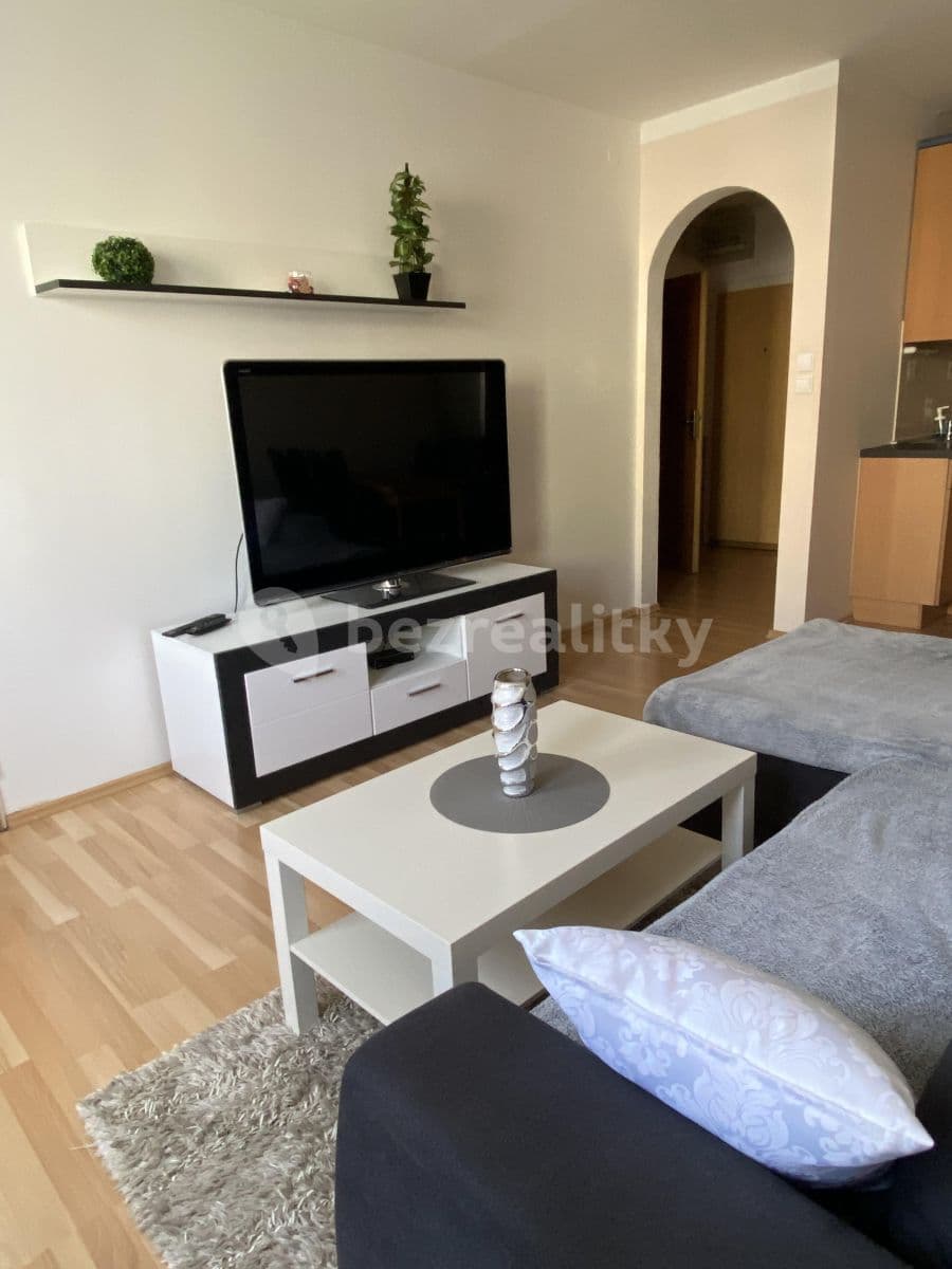 1 bedroom with open-plan kitchen flat to rent, 50 m², Litoměřická, Prague, Prague 1 bedroom with open-plan kitchen flat to rent, 50 m², Litoměřická, Prague, Prague