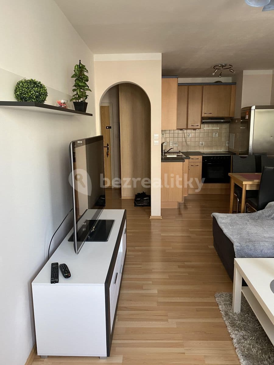 1 bedroom with open-plan kitchen flat to rent, 50 m², Litoměřická, Prague, Prague 1 bedroom with open-plan kitchen flat to rent, 50 m², Litoměřická, Prague, Prague