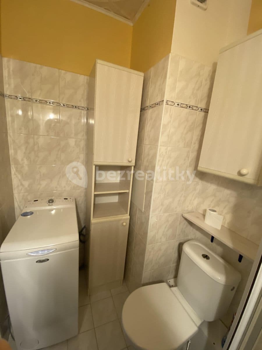 1 bedroom with open-plan kitchen flat to rent, 50 m², Litoměřická, Prague, Prague 1 bedroom with open-plan kitchen flat to rent, 50 m², Litoměřická, Prague, Prague