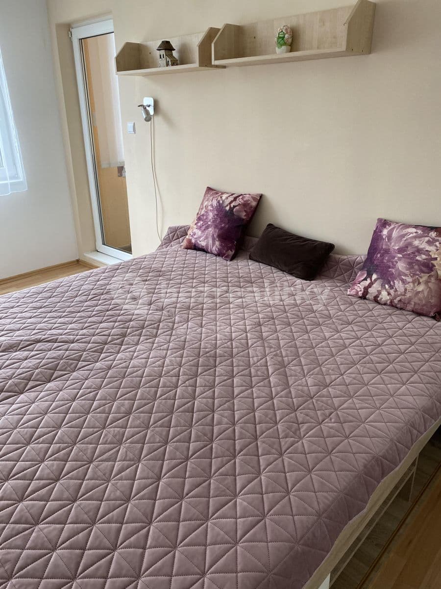 1 bedroom with open-plan kitchen flat to rent, 50 m², Litoměřická, Prague, Prague 1 bedroom with open-plan kitchen flat to rent, 50 m², Litoměřická, Prague, Prague