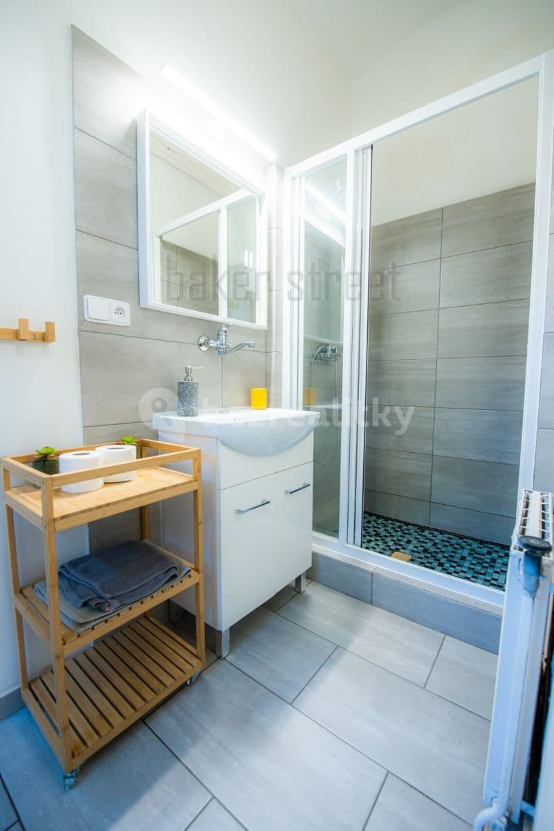 Studio flat to rent, 32 m², U Pekařky, Prague, Prague Studio flat to rent, 32 m², U Pekařky, Prague, Prague