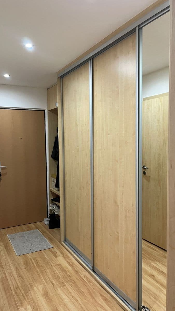 1 bedroom with open-plan kitchen flat to rent, 45 m², Hrubého, Prague, Prague 1 bedroom with open-plan kitchen flat to rent, 45 m², Hrubého, Prague, Prague