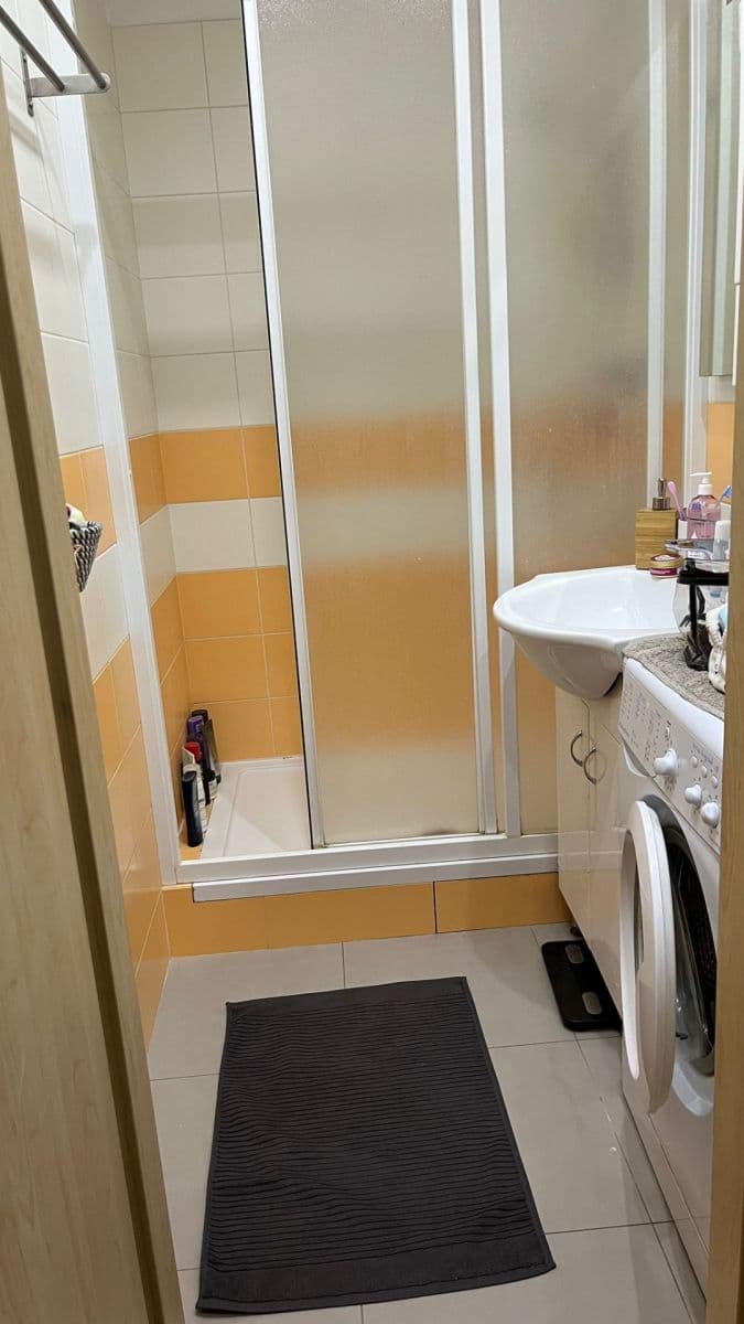 1 bedroom with open-plan kitchen flat to rent, 45 m², Hrubého, Prague, Prague 1 bedroom with open-plan kitchen flat to rent, 45 m², Hrubého, Prague, Prague