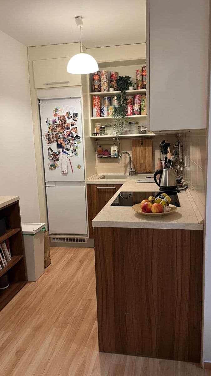 1 bedroom with open-plan kitchen flat to rent, 45 m², Hrubého, Prague, Prague 1 bedroom with open-plan kitchen flat to rent, 45 m², Hrubého, Prague, Prague