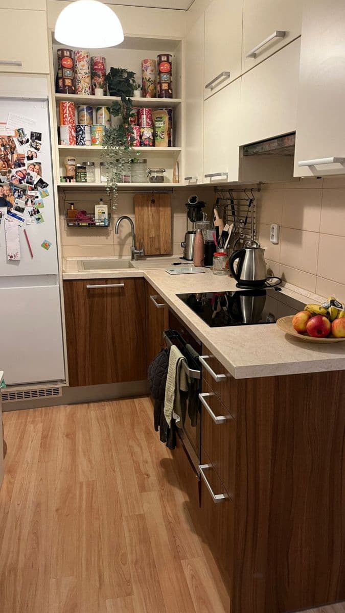 1 bedroom with open-plan kitchen flat to rent, 45 m², Hrubého, Prague, Prague 1 bedroom with open-plan kitchen flat to rent, 45 m², Hrubého, Prague, Prague