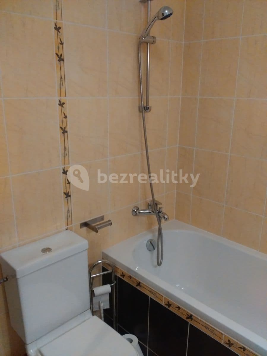 1 bedroom with open-plan kitchen flat to rent, 37 m², Drásov, Jihomoravský Region 1 bedroom with open-plan kitchen flat to rent, 37 m², Drásov, Jihomoravský Region