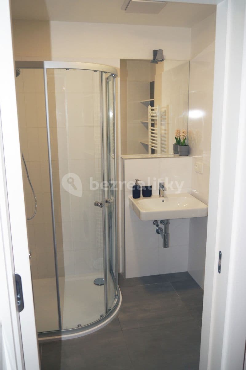 1 bedroom with open-plan kitchen flat to rent, 42 m², Mlýnská, Brno, Jihomoravský Region 1 bedroom with open-plan kitchen flat to rent, 42 m², Mlýnská, Brno, Jihomoravský Region