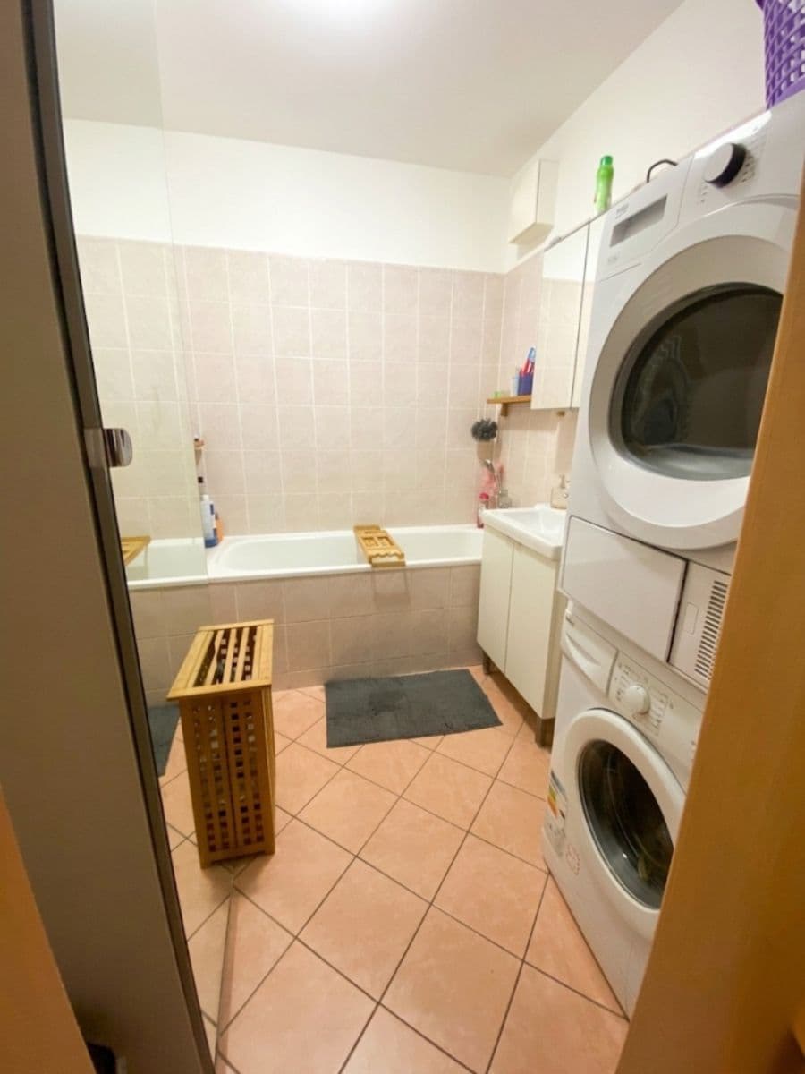 1 bedroom with open-plan kitchen flat to rent, 60 m², Boloňská, Prague, Prague 1 bedroom with open-plan kitchen flat to rent, 60 m², Boloňská, Prague, Prague