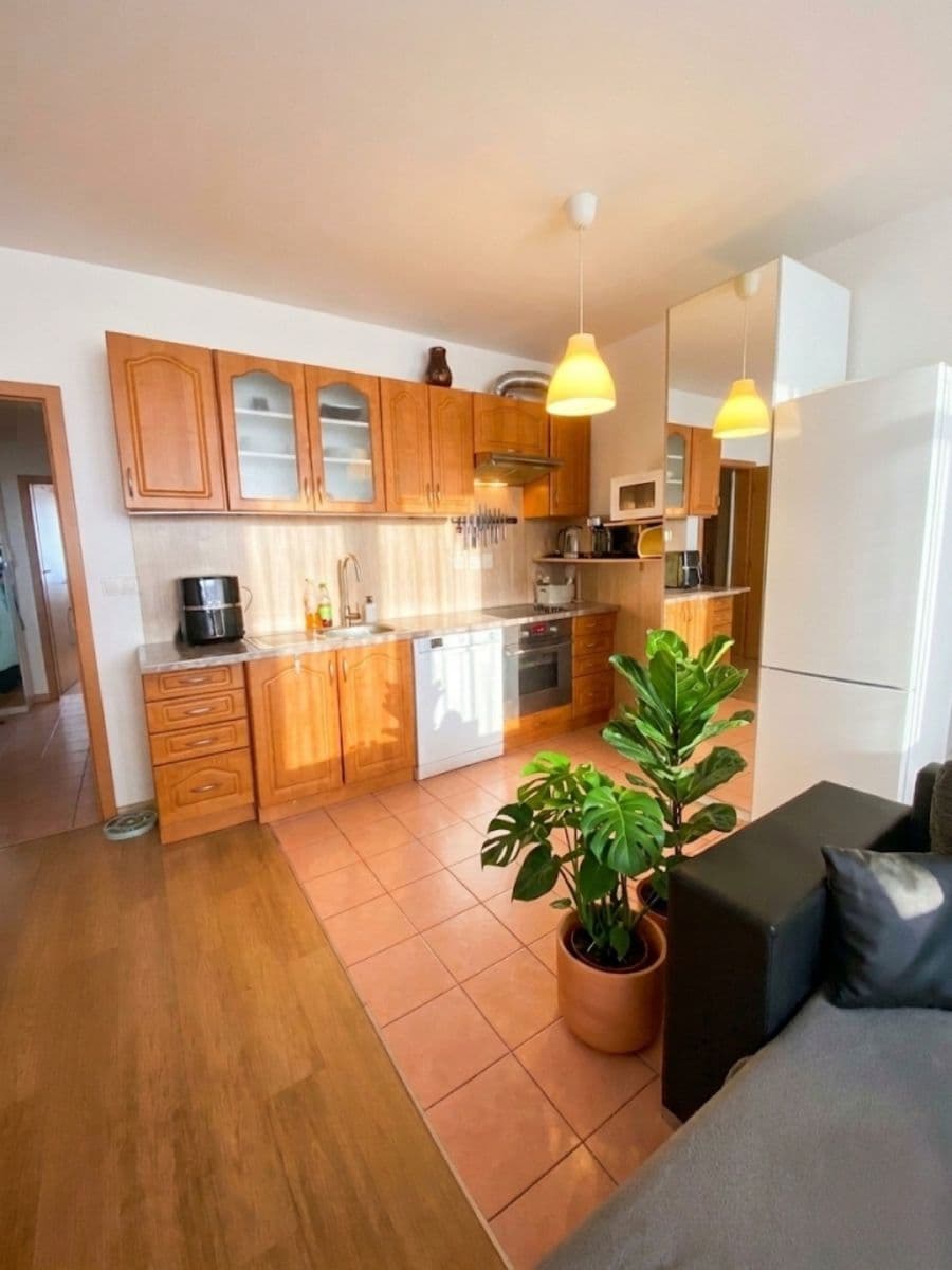 1 bedroom with open-plan kitchen flat to rent, 60 m², Boloňská, Prague, Prague 1 bedroom with open-plan kitchen flat to rent, 60 m², Boloňská, Prague, Prague