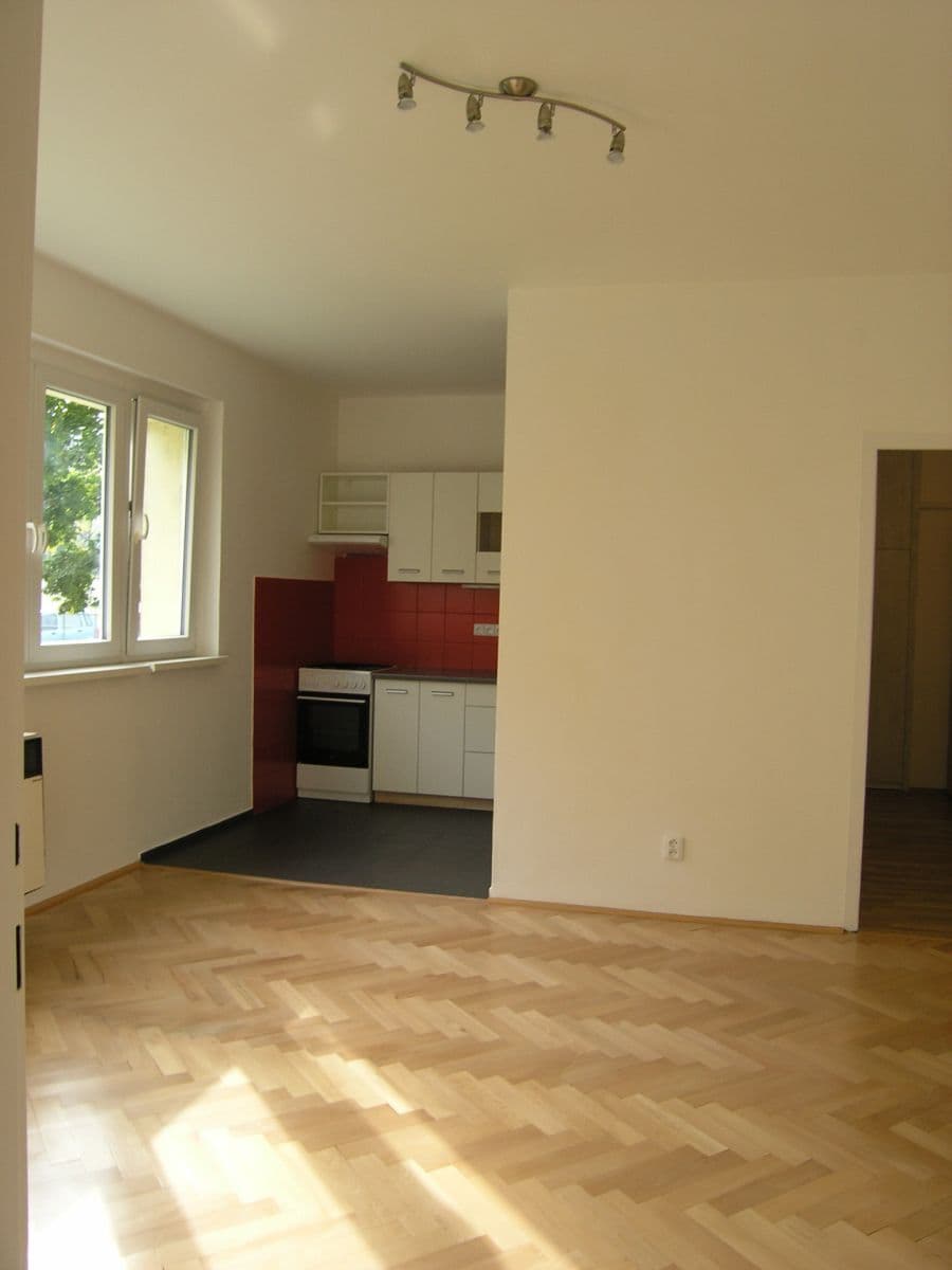 1 bedroom with open-plan kitchen flat to rent, 46 m², U Staré plynárny, Prague, Prague 1 bedroom with open-plan kitchen flat to rent, 46 m², U Staré plynárny, Prague, Prague