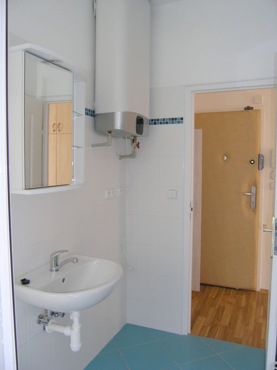 1 bedroom with open-plan kitchen flat to rent, 46 m², U Staré plynárny, Prague, Prague 1 bedroom with open-plan kitchen flat to rent, 46 m², U Staré plynárny, Prague, Prague