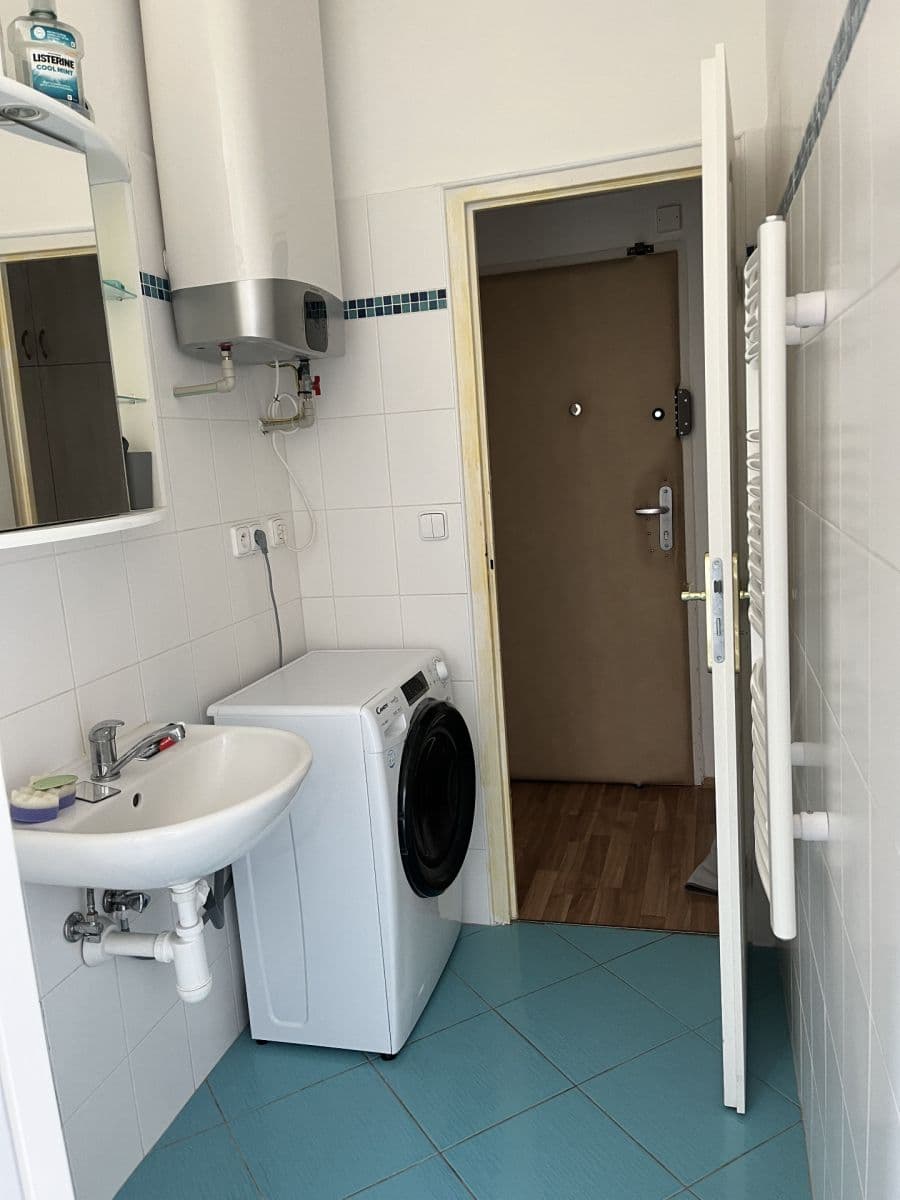 1 bedroom with open-plan kitchen flat to rent, 46 m², U Staré plynárny, Prague, Prague 1 bedroom with open-plan kitchen flat to rent, 46 m², U Staré plynárny, Prague, Prague