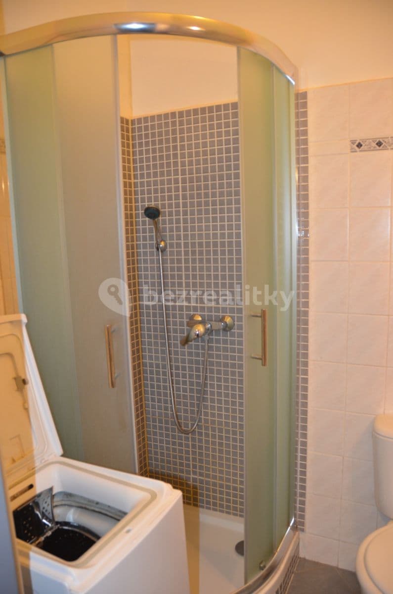 1 bedroom with open-plan kitchen flat to rent, 38 m², Slezská, Prague, Prague 1 bedroom with open-plan kitchen flat to rent, 38 m², Slezská, Prague, Prague