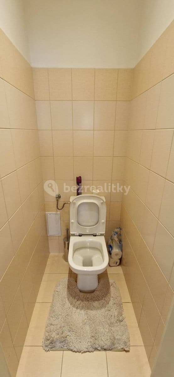 1 bedroom with open-plan kitchen flat to rent, 50 m², Vršovická, Prague, Prague 1 bedroom with open-plan kitchen flat to rent, 50 m², Vršovická, Prague, Prague