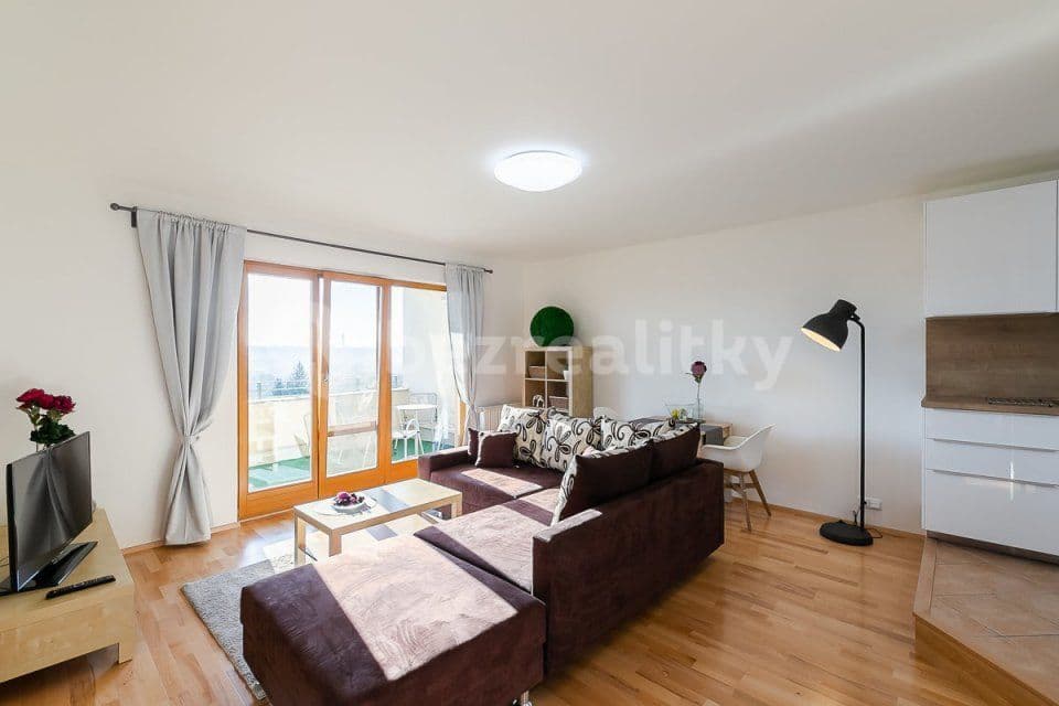 1 bedroom with open-plan kitchen flat to rent, 55 m², Krejčího, Prague, Prague 1 bedroom with open-plan kitchen flat to rent, 55 m², Krejčího, Prague, Prague