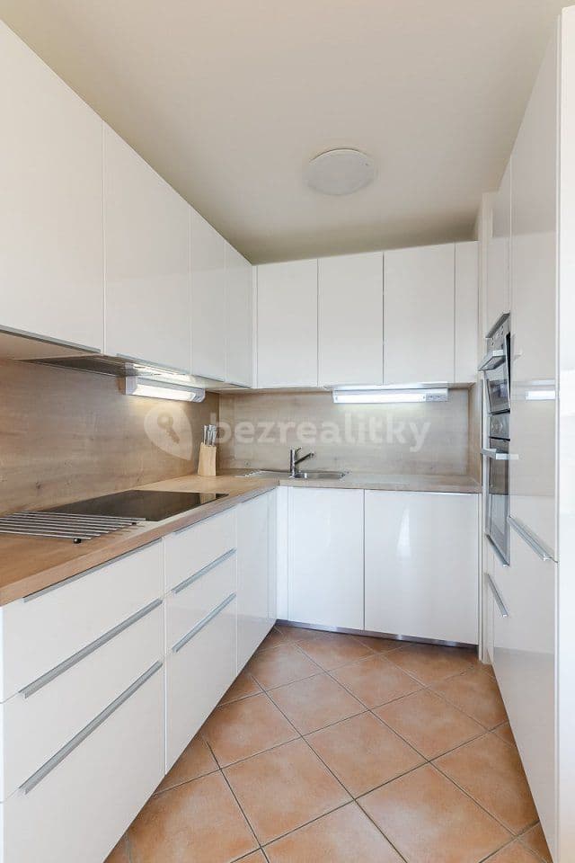 1 bedroom with open-plan kitchen flat to rent, 55 m², Krejčího, Prague, Prague 1 bedroom with open-plan kitchen flat to rent, 55 m², Krejčího, Prague, Prague