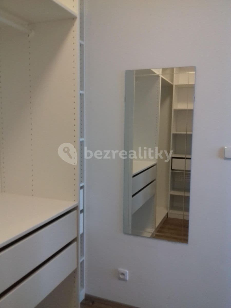 1 bedroom with open-plan kitchen flat to rent, 53 m², Prague, Prague 1 bedroom with open-plan kitchen flat to rent, 53 m², Prague, Prague