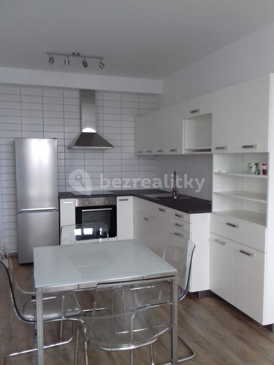 1 bedroom with open-plan kitchen flat to rent, 53 m², Prague, Prague 1 bedroom with open-plan kitchen flat to rent, 53 m², Prague, Prague