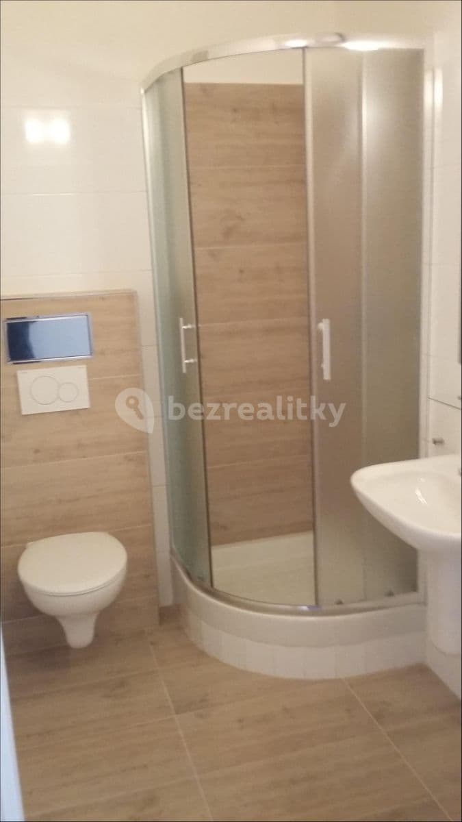 1 bedroom with open-plan kitchen flat to rent, 45 m², Oldřichova, Prague, Prague 1 bedroom with open-plan kitchen flat to rent, 45 m², Oldřichova, Prague, Prague