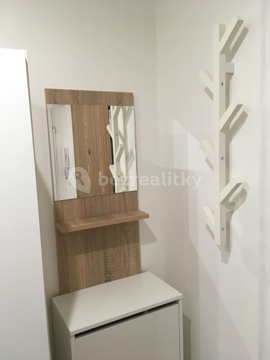 1 bedroom with open-plan kitchen flat to rent, 46 m², Výletní, Prague, Prague 1 bedroom with open-plan kitchen flat to rent, 46 m², Výletní, Prague, Prague