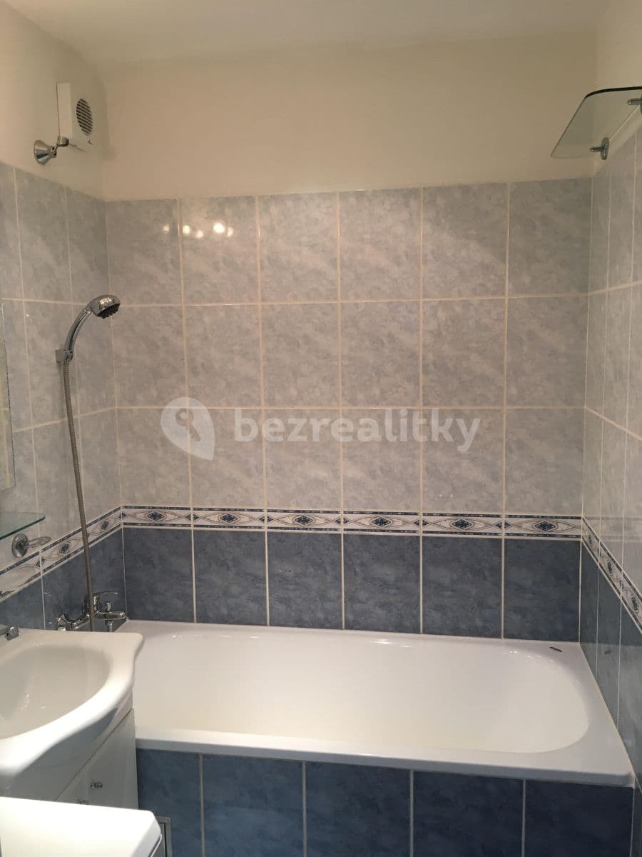 1 bedroom with open-plan kitchen flat to rent, 46 m², Výletní, Prague, Prague 1 bedroom with open-plan kitchen flat to rent, 46 m², Výletní, Prague, Prague