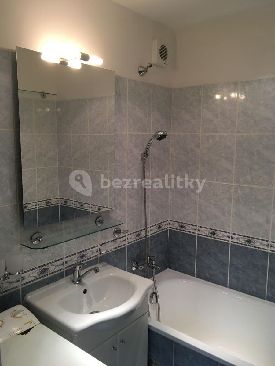 1 bedroom with open-plan kitchen flat to rent, 46 m², Výletní, Prague, Prague 1 bedroom with open-plan kitchen flat to rent, 46 m², Výletní, Prague, Prague